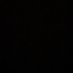 Meet your Posher, Lily